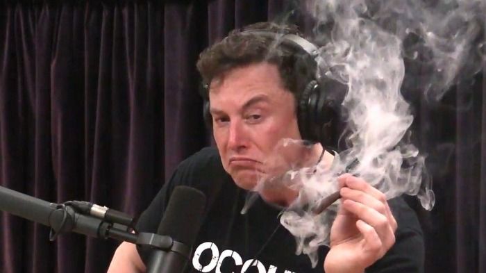 Elon Musk avoue avoir acheté la Société Canadienne de l'Administration Pharmaceutique pour légaliser le cannabis et lancer son cartel !